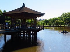 奈良5/8　奈良国立博物館　奈良公園　10