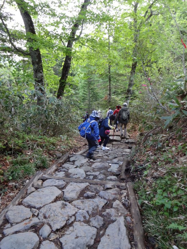 頑張って行ってきま〜す！ここから山ノ鼻までは下り坂で石段や傾斜した木道が続く、帰りは上りなので余力を残しておかなくっちゃ(^_^;)<br />