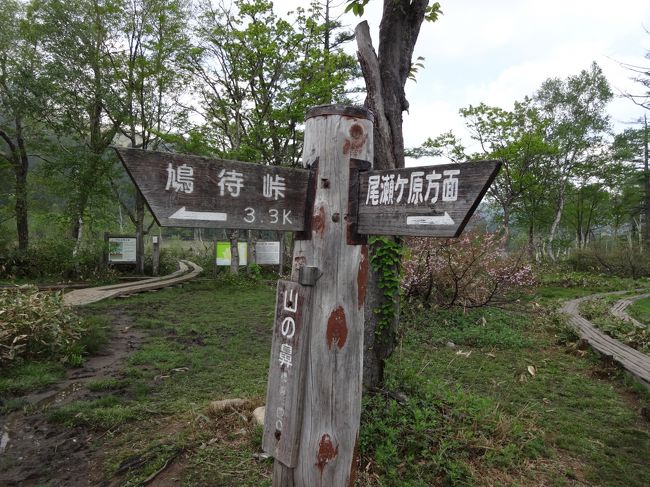 さて見本園を後に次の目的地、『牛首分岐』を目指します。