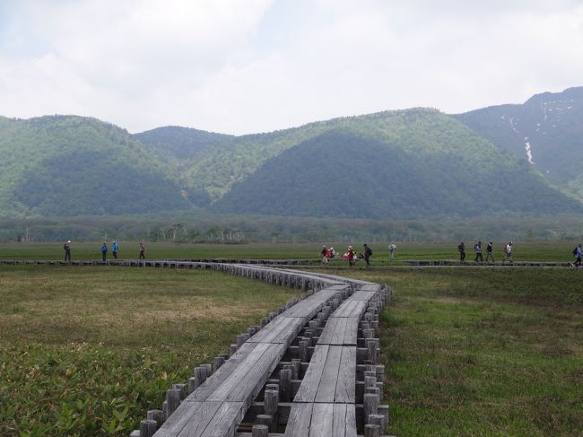 取り敢えず竜宮までの2キロを歩いてから考える事にします。<br />見本園は帰りに行った方が良かったかもしれませんが、疲れていない内に水芭蕉を見たかったので、良しとしましょう。<br />