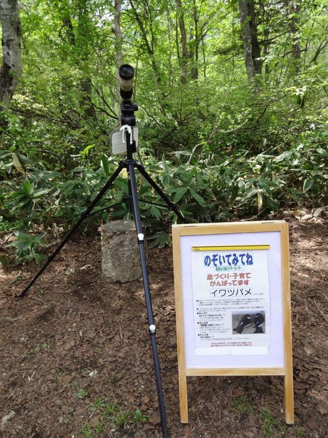 イワツバメの巣を覗く為の望遠鏡・・・・往路では気づきませんでした。
