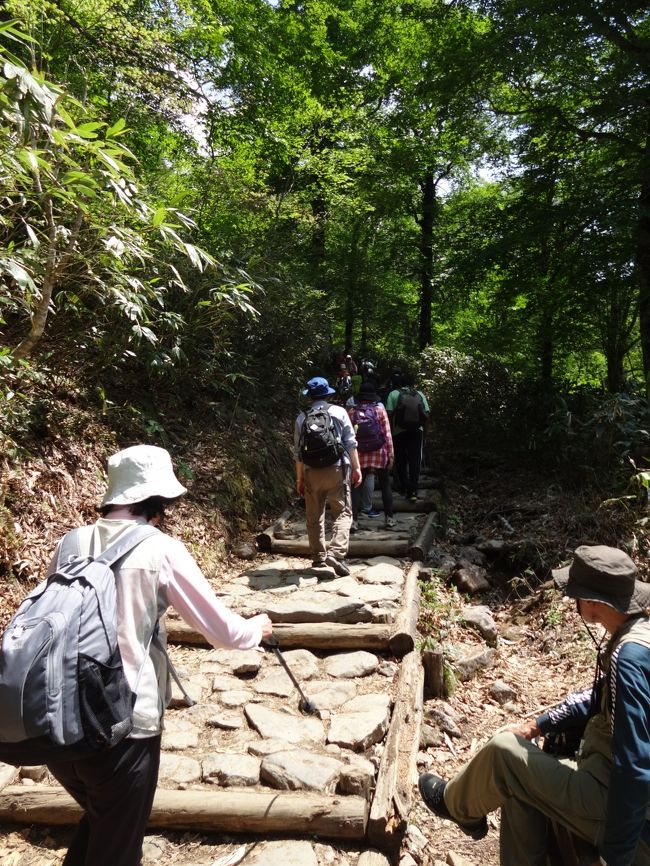 最後の石畳、ここが一番きつかった〜すれ違う入山者にあと少しですよ〜と応援されつつ、最後の力を振り絞って登ります。途中で転んで怪我をして、救急搬送を待つ人に遭遇。お気の毒ですが、やっぱり山は危険と隣り合わせ、国内旅行は保険に入らないけど・・・・次回は保険に入ろっと〜！<br />