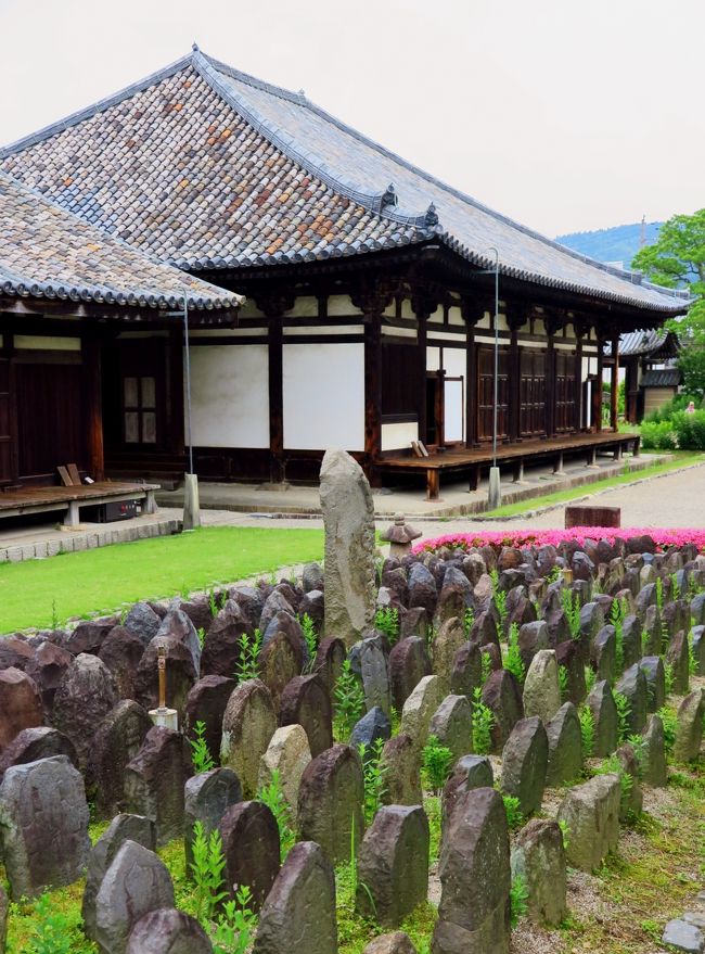 奈良6/8 元興寺 本堂（国宝）に残る古瓦 ☆五重小塔は奈良時代の