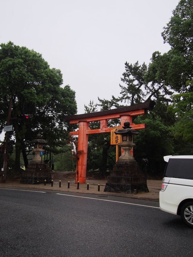 朝８時半ごろ。<br />天候の悪さと早い時間なので、人がいない。。。<br /><br />よし、お参りにいくぞ！