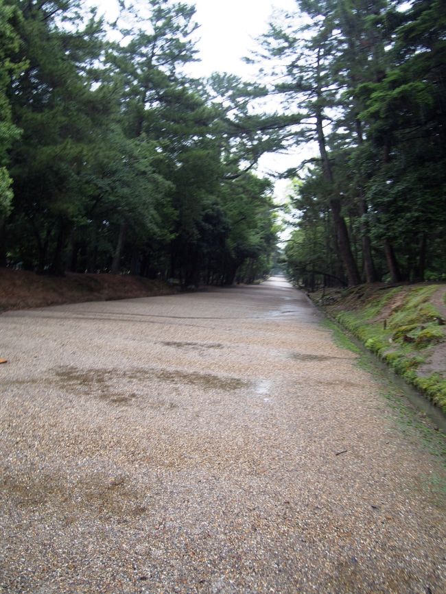 春日大社まで行くには長い道のり。<br /><br />それ以前に、人、ゼロ。。。。<br /><br />ぬかるみおはよう。<br /><br />とりあえず向かいます♪