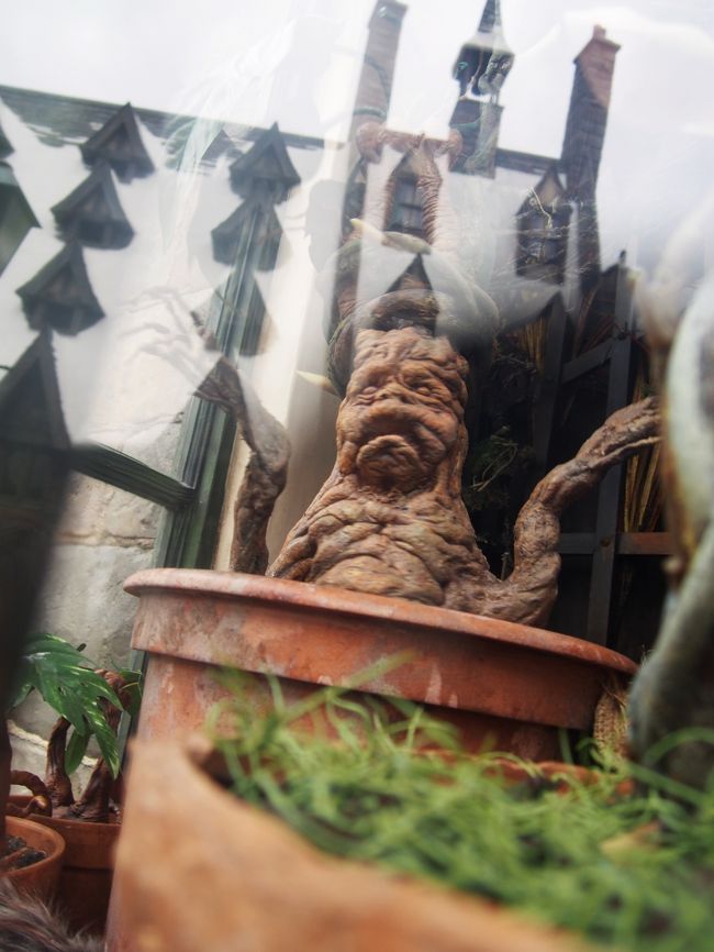 しかしこのハリーポッターエリアは歩いているだけでも充分楽しめます。<br />本当にお店の中もこだわっているし、お店になっていないところもしかけがあったりして楽しい。<br /><br />しかし、ＴＶとかで話題になっていた『百味ビーンズ』<br /><br />買いました。<br /><br />買いましたけど、、、、、、、、、、、<br /><br />　　　　　　　　　　　　　　　　　　　　　　　　　　　　高い！！<br /><br />値段に絶叫したのは言うまでもなく、、、、<br /><br />