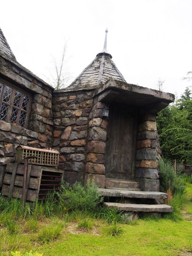 『フライト・オブ・ザ・ヒッポグリフ』のアトラクションに並んでたら、ハグリットの家が！！<br /><br />なんか、撮っちゃいますよね。。