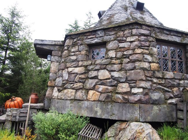 ハグリットの家。の反対。<br /><br /><br />アトラクション自体は、子供が乗れるくらいのコースター。<br /><br />いつも思うけど、ただこういうコースターのが意外に迫力あったりするんですよね。。