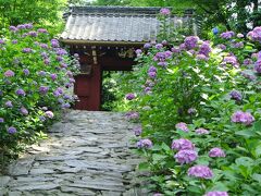 瑞雲山 本光寺 (愛知県幸田町)

深溝松平家の菩提寺


