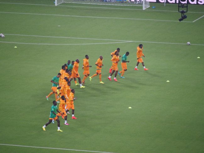 象牙もウォーミングアップ