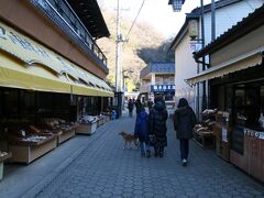 袋田の滝に到着
駐車場に止めて「昔ながら」のお土産屋街を抜けて袋田の滝に向かいます。
地元のお土産や「鮎の塩焼き」等が並んでいて楽しく歩けます。
