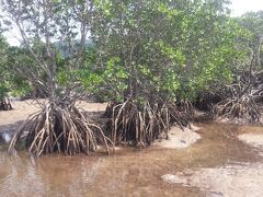車を停めて、階段を下り川へ。
泥で足が悪いので、丈夫なサンダル必須。