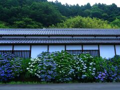 8：00　加茂荘花鳥園（旧加茂花菖蒲園）

いつの間にか名前が変わっていた。
1000種100万本の花菖蒲は1ヘクタール！


8：00〜17：00（受付〜16：30）
※ライトアップ時に延長営業有り
大人/1500円（HPに10%引き券有り）
駐車場200台/無料