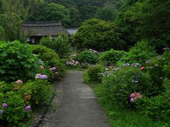 15：50　大鐘家（おおがねけ）

大庄屋だった大鐘家の母屋、長屋門は国の重要文化財。
35種1万本の紫陽花。
敷地は1万坪。


9：00〜18：00（通常〜17：00）
紫陽花祭り期間中700円（他時期200円〜500円）
駐車場130台/無料