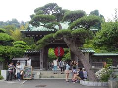 鎌倉駅で江ノ電へ
ホームは人がいっぱい！
3つ目の長谷寺で、ほとんど降りた・・って、みんな長谷寺に行くの？
長谷寺までは歩道が混んでいてなかなか進めません。

やっと到着して、すぐ整理券をもらおうと写真も撮らずに中へ。
この写真は、アジサイを見終わってから撮りました。