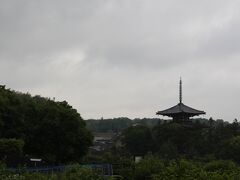 朝８時過ぎにJR奈良駅から電車で法隆寺駅へ。

駅から徒歩で法隆寺iセンターへ向かい(１５分位)
自転車を借りて法輪寺へ。

どんよりしてます…