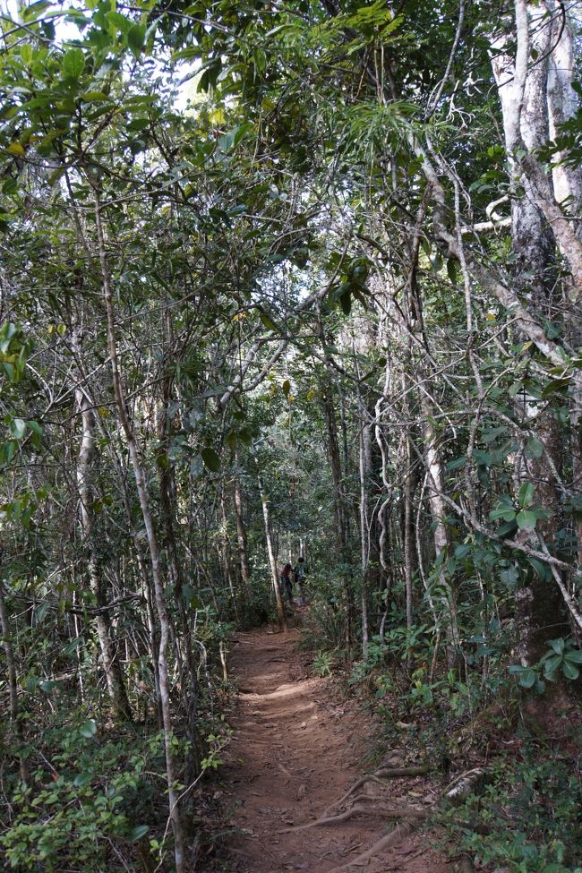 メインルートから木々の間に入っていくと・・・。