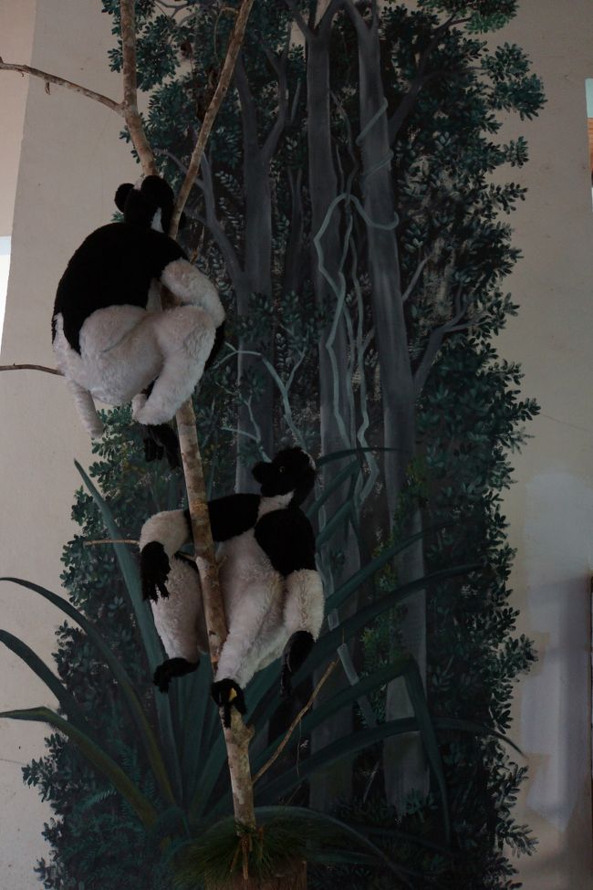 インドリのぬいぐるみ。