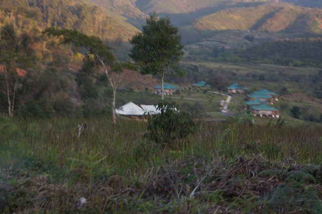 建物が見えてきました。