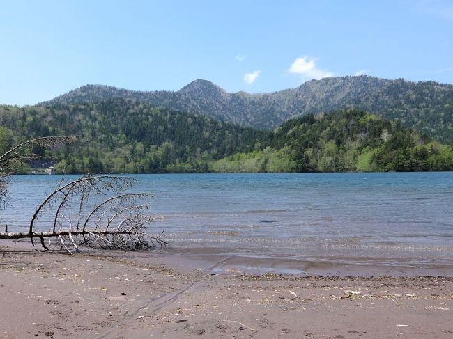 “ 北の秘境 ” ・ 萌黄色の原生林を抜けた先にあるのは、濃藍の聖域 【 山上の 然別湖 ～ 東雲湖 （北海道三大秘湖）】