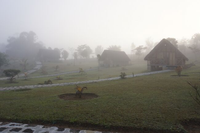 朝は霧が深いです。