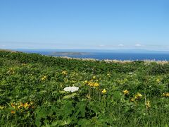 　焼尻島もよく見えました。