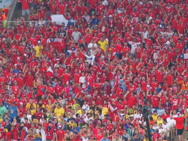 スタジアム中がこんな感じ