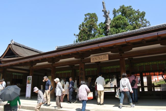 外の参拝所です。