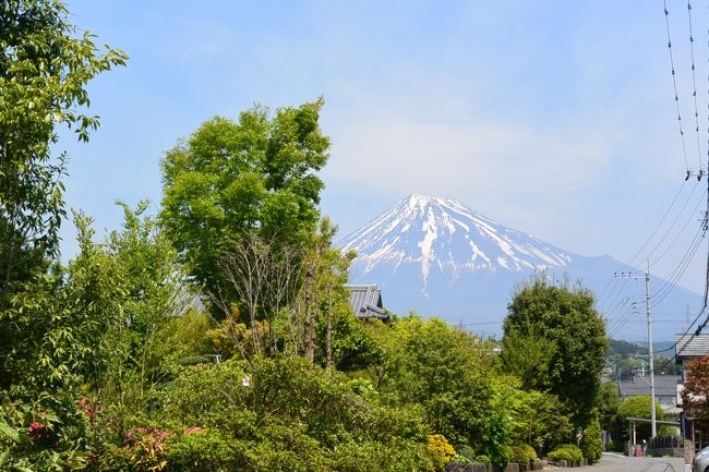 実家近くからの富士山の眺め。