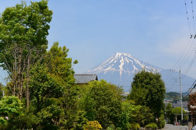 実家近くからの富士山の眺め。