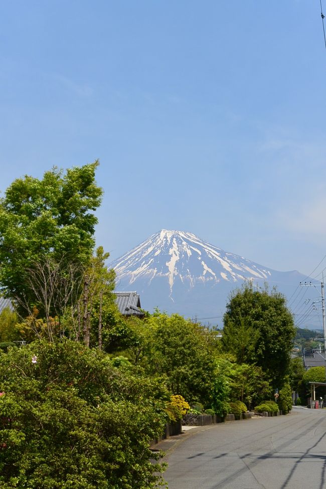 実家近くからの富士山の眺め。