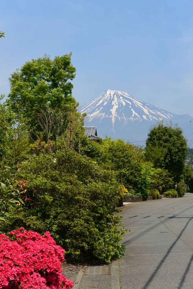 実家近くからの富士山の眺め。
