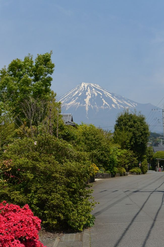 実家近くからの富士山の眺め。