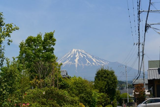実家近くからの富士山の眺め。