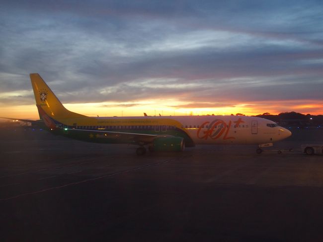 GOLの代表仕様の塗装。1年前のConfederationsCup優勝記念らしい