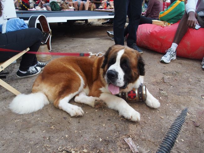 わんわん。まさかSwitherlandから連れてきたってことはないだろうな？