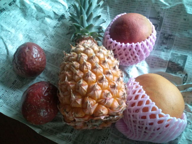 といいたいとこですが、本日のバススタートは９時半。もったいなくてそれまでホテルになんかいられませんよ。で、ホテルから一番近いスーパーまで１キロ弱をタクシーで訪れることにしました。開店８時とともに買い物です。タクシー料金はとてもお安く初乗り４３０円でした。<br />果物とボンカレーなどあれこれ買ってホテルに戻ります。