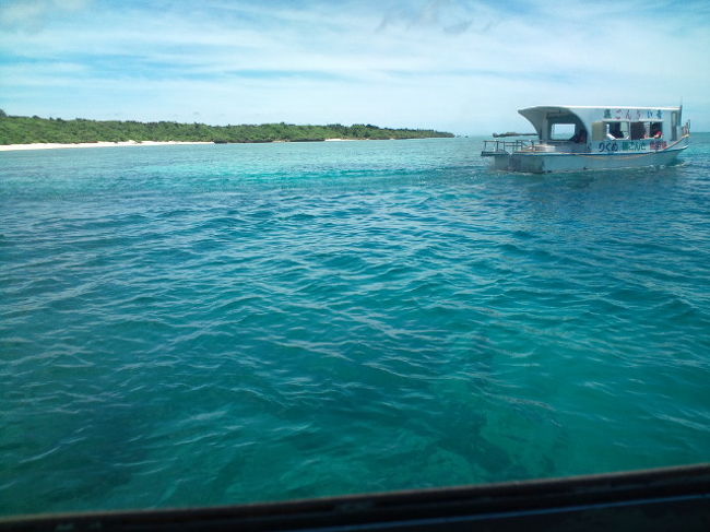 ニモもいました。お魚達の天国です。