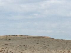 中田島砂丘


こんなところに砂丘があることを知らなかった。

興味があったので降りてみることに。


