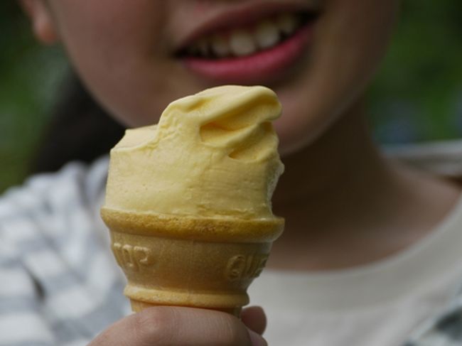 この頃すでにうちの娘は、あまりに沢山ある紫陽花に見飽きてしまい、<br />ソフトクリームに走ってました(^^;;<br /><br />みかん味〜♪