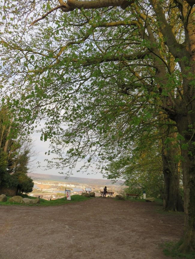 印象派の絵画みたい・・<br /><br />向こうに小さく見えるのが<br />ippunさん