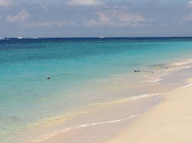 おお！<br />きれいだ。