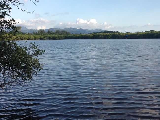 湖もあります。