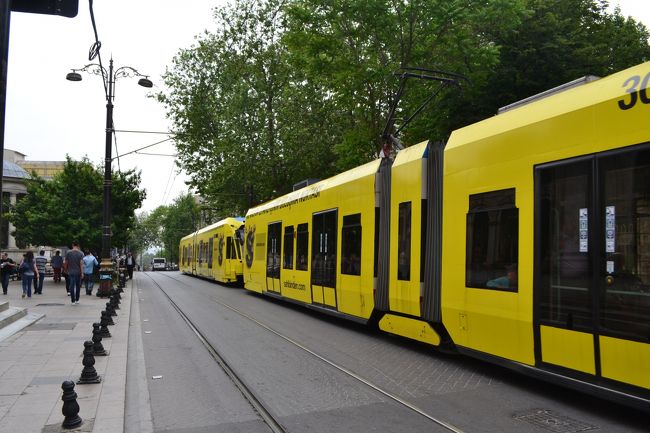 市内を走っているトラムです。