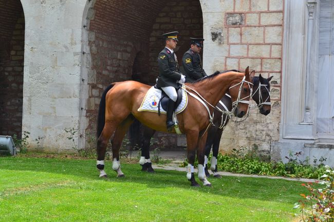 宮殿内の騎馬兵。