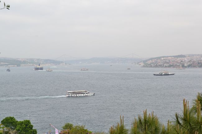 遊覧船も通っており、のどかな風景です。