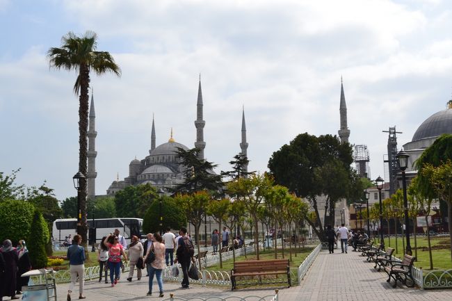 トプカプ宮殿をでるとすぐ近くにブルーモスクが見えます。<br />イスタンブールの市内観光というと、ブルーモスク、アヤソフィア、トプカプ宮殿の３つが有名ですが、歩いて行ける距離にあります。