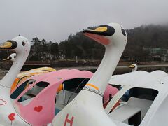 中禅寺湖のスワンボート

ギリギリシーズンオフなため、営業はしていません