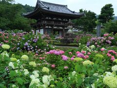 7：30　丹州觀音寺（たんしゅうかんのんじ）

舞鶴若狭道/西紀SAで車中泊し6時起床。

今年も丹波あじさい寺とも称される観音寺へ。
100種1万株の紫陽花が見頃。


拝観料/350円
駐車場/無料