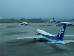 窓越しの撮影です。